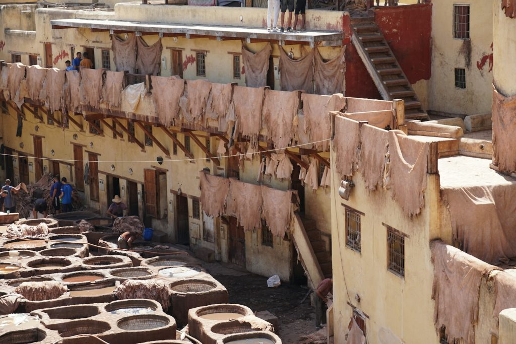 Indonesia’s Exotic Leather Industry, Explained