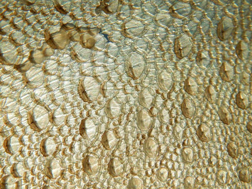 Stingray Leather (Shagreen): A Buyer’s Guide